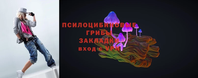 МЕГА ссылки  Энем  Псилоцибиновые грибы Psilocybe  закладки 